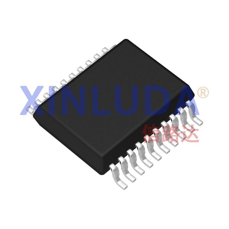 XL2543-SS
